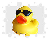 Duck Creek Technologies Duck Creek Technologies